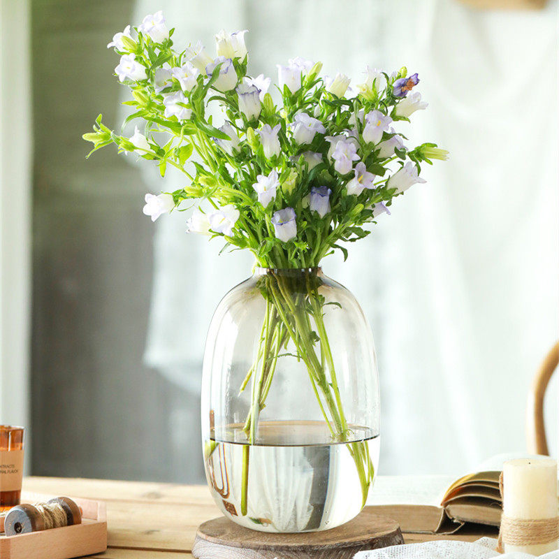 轻奢圆形透明中式简约鲜花绿植水培花器吊钟雪柳小叶女贞玻璃花瓶,鲜花速递/花卉仿真/绿植园艺,花瓶,淘宝优惠券,粉丝福利购,淘宝优惠卷