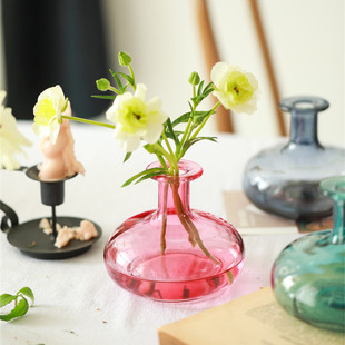 ins风小清新北欧绿萝水培鲜花玻璃瓶洗手台餐厅摆件装 饰民宿插花