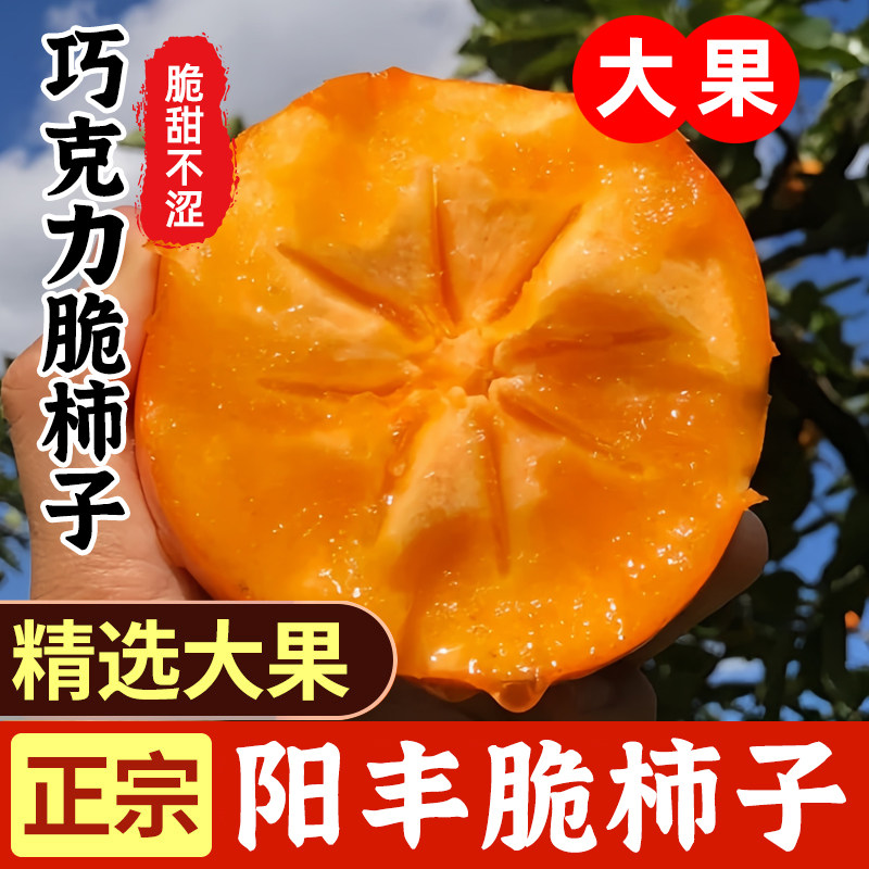 巧克力脆柿子5斤中大果正宗陕西脆柿当季新鲜水果脆柿子整箱包邮