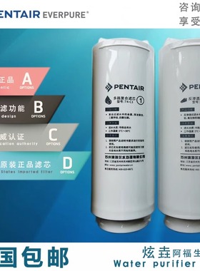 滨特尔T4000-a双出水反渗透直饮纯水机T8000-a净水器过滤替换滤芯