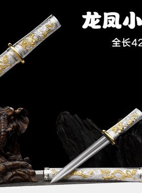 龙泉市袖珍钢制迷你龙凤小剑古风帅气小刀剑车载道具刀宝剑未开刃