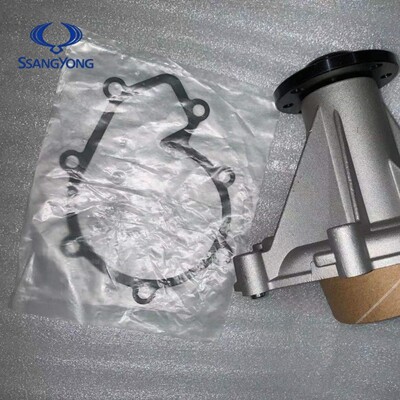 双龙爱腾享御雷斯特水泵原装进口