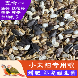 小太阳鹦鹉鸟粮鸟食专用饲料增肥加纳利子燕麦油葵瓜子种子混合型