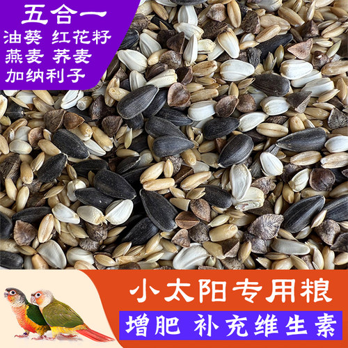 小太阳鹦鹉鸟粮鸟食专用饲料增肥