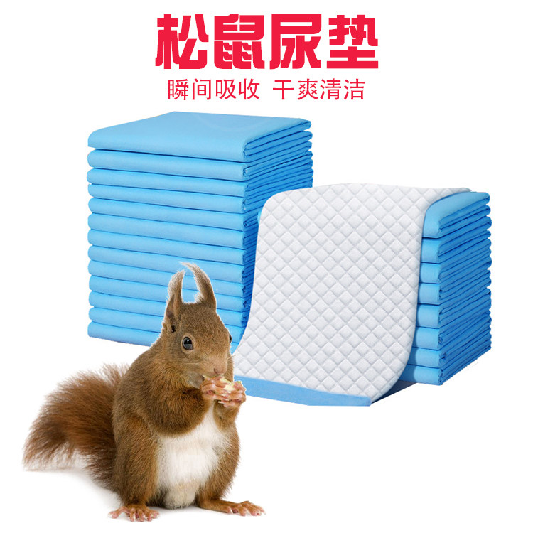 松鼠专用笼子厕所尿不湿隔尿垫子图片