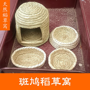 斑鸠稻草窝用品繁殖下蛋阳台窗台孵蛋专用鸟窝鸟巢户外悬挂式大号