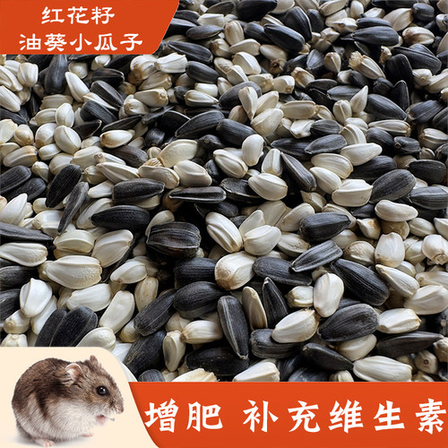 仓鼠专用营养油葵黑瓜子零食主粮