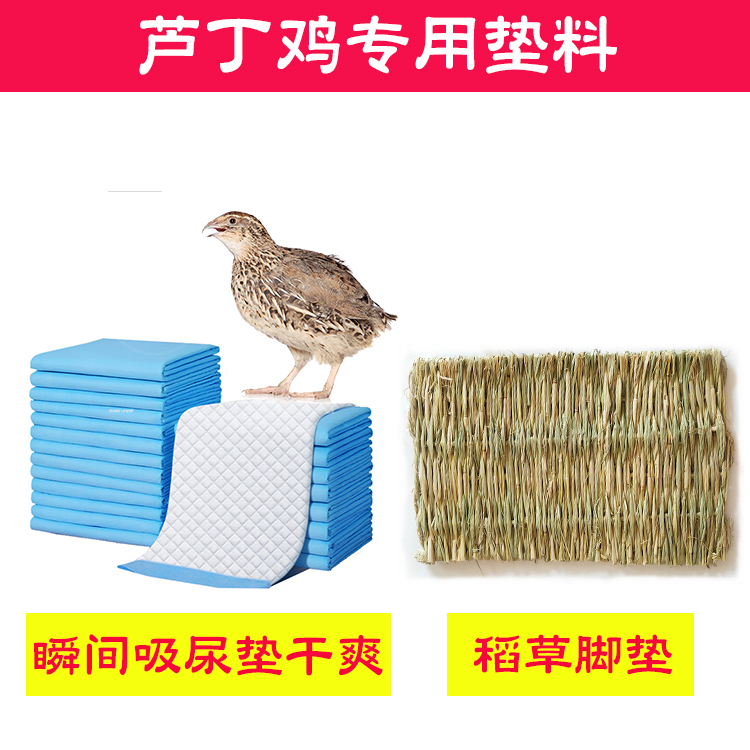 芦丁鸡鹌鹑专用隔尿垫除臭垫料