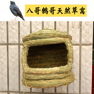 八哥专用城堡草窝鸟窝鹩哥悬挂式大号夏天稻草鸟巢屋房子固定用品