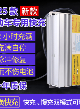 电动车电瓶车快速充电器60v20AH48v72V84V自动断电智能通用快充