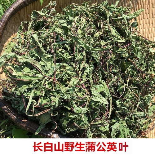 东北农家蒲公英婆婆丁中药材包邮