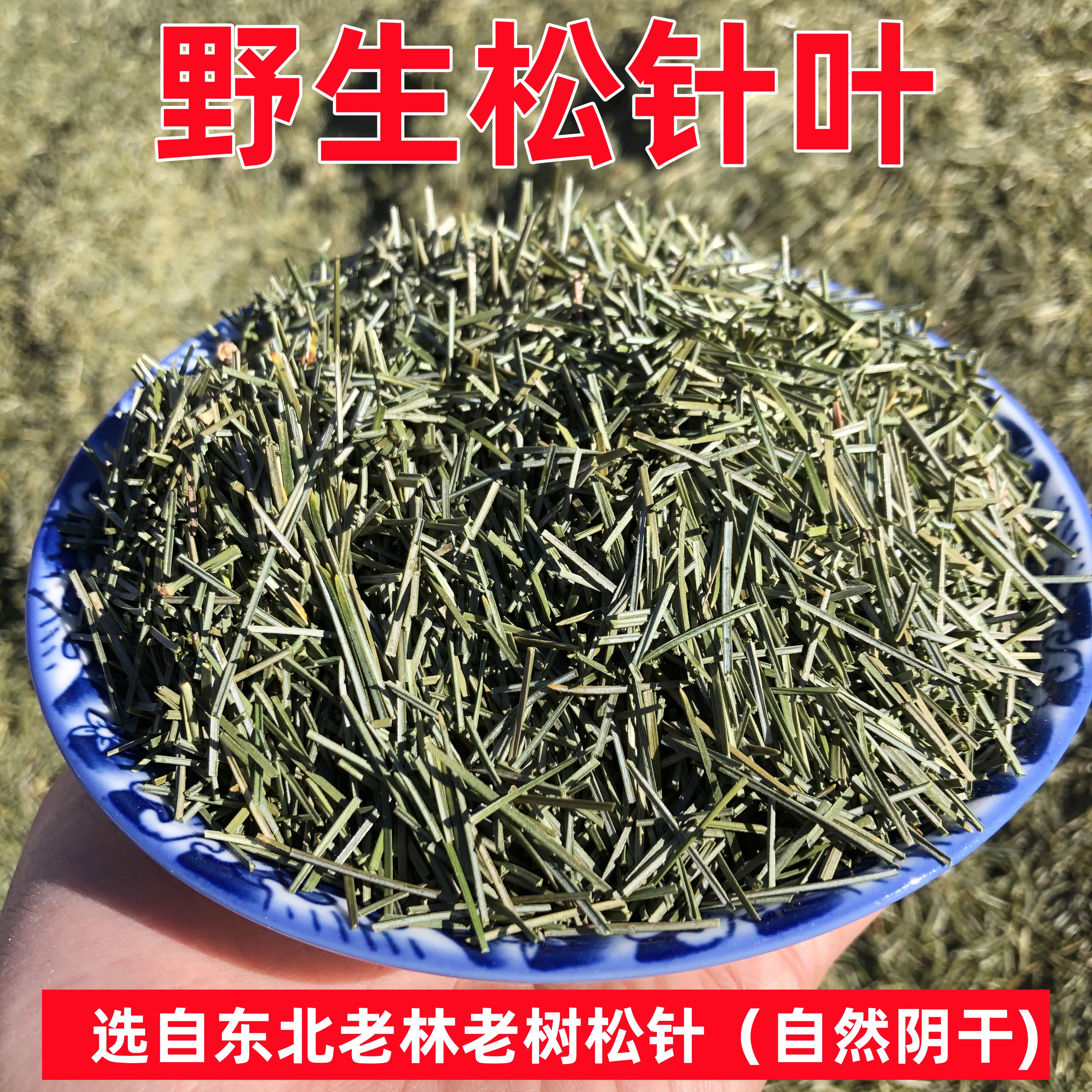 长白山野生干松针叶产地直发