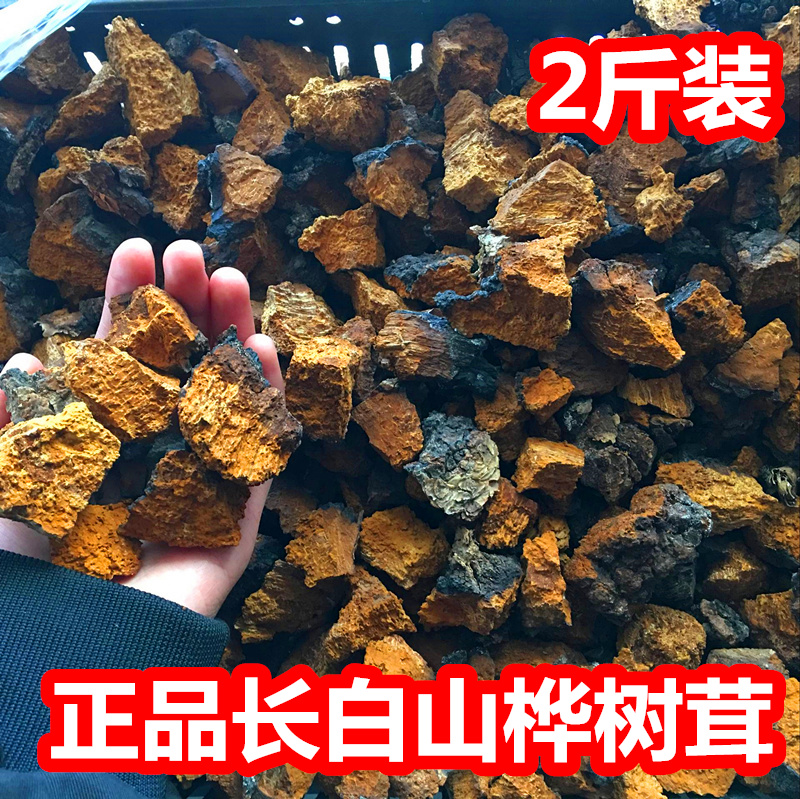 野生长白山桦树茸产地直发