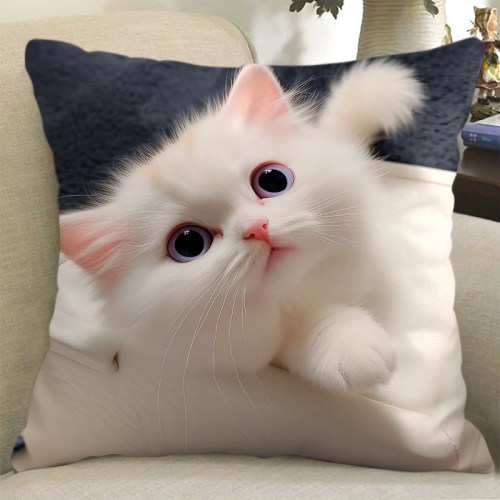 可爱治愈系猫咪周边抱枕定制抽象超软可拆洗沙发印花靠垫玩偶礼物