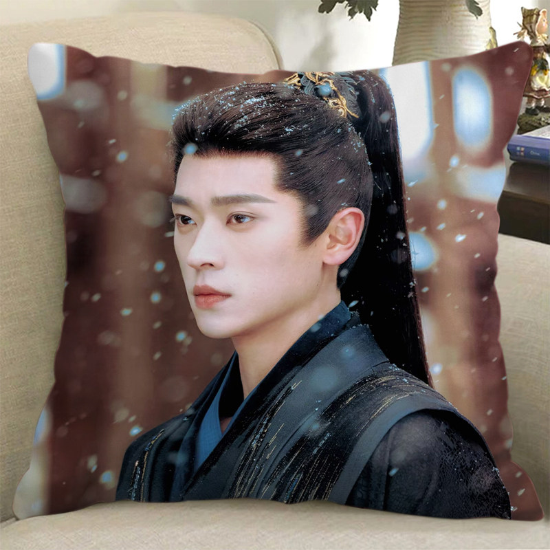 丞磊周边抱枕双面定制肖珏同款汽车睡觉沙发靠垫玩偶公仔枕头礼物
