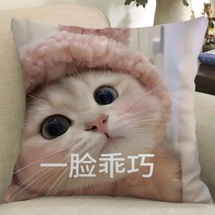 可爱猫咪表情包周边抱枕定制撒娇萌宠沙发靠垫玩偶学生礼物枕头