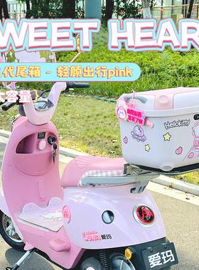 电动车后置车筐爱玛露娜后备箱雅迪大容量尾箱配件九号电瓶车通用