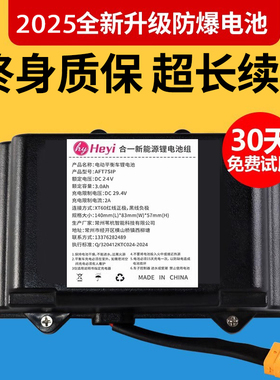 平衡车电池42V通用电瓶车系梦安派美尚新能源组阿尔郎锂电龙吟36v