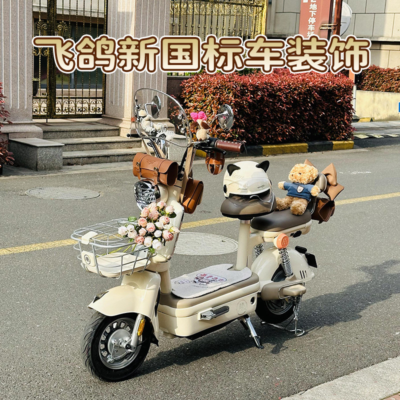 飞鸽电动车装饰2024元宇宙小型电瓶自行代步车专通用改造配件大全