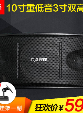 CABO/加宝 CA-1000卡包箱  家庭卡拉OK 舞台会议 专业10寸音响