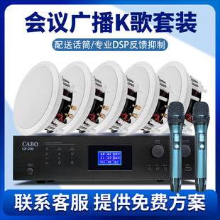 惠威VX6 DSP反馈抑制配送话筒 C会议公共广播K歌吸顶喇叭套装