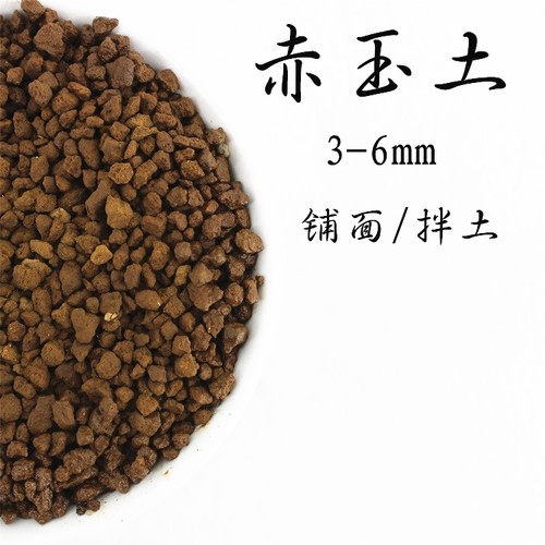 日本进口多肉菖蒲盆景专用土