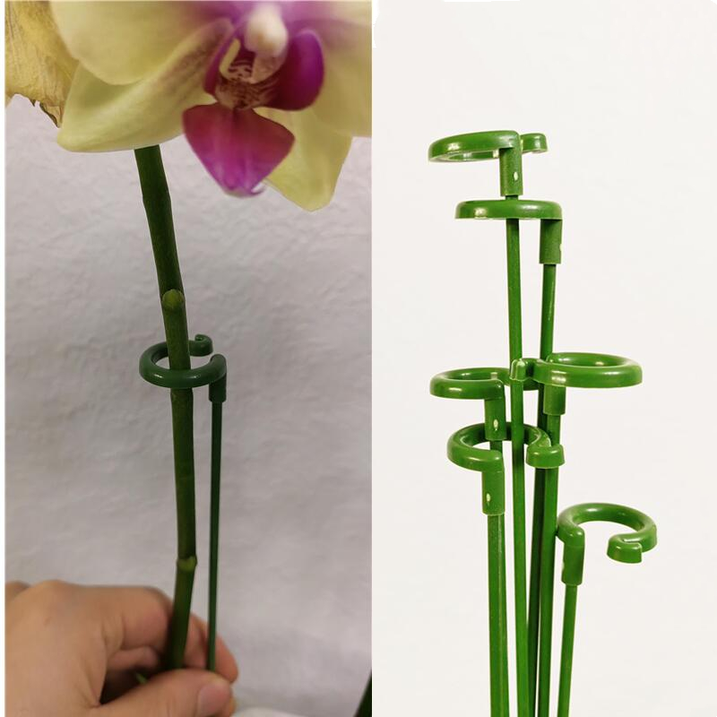 植物叶片防倒支架蝴蝶兰花支撑杆