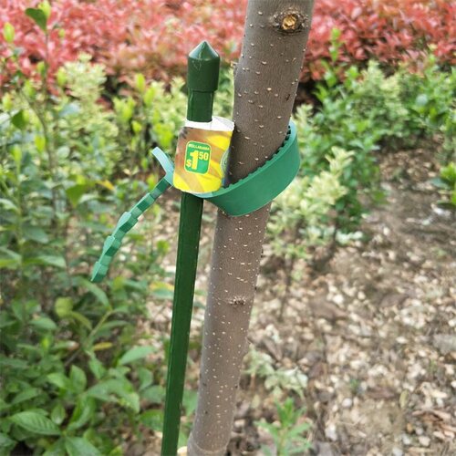 树苗防倒杆果树支撑杆