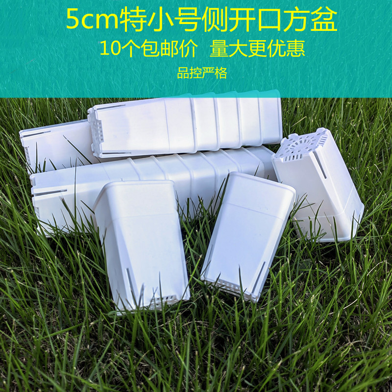 塑料加高控根特小号多肉万象盆