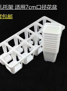 6.5/7方多肉塑料花盆10格接水整理托架生石花小方盆架子托盘