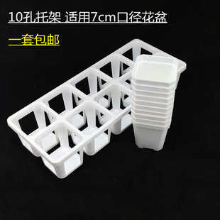 6.5/7方多肉塑料花盆10格接水整理托架生石花小方盆架子托盘