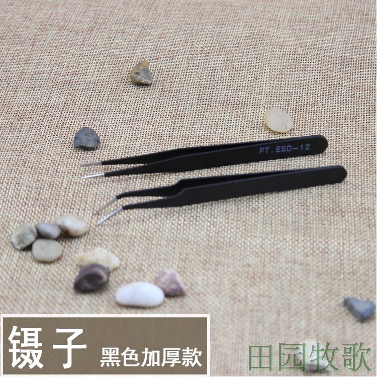 园艺用品圆头不锈钢镊子 微景观专用小工具 多肉种植专用