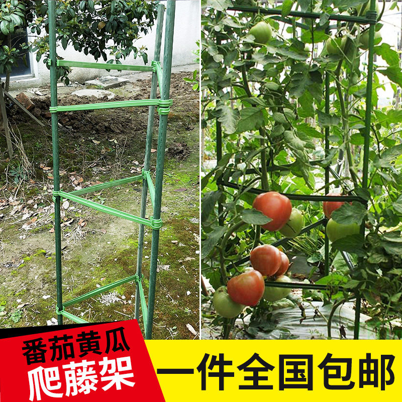 番茄黄瓜爬藤架子花支架月季花架园艺西红柿支撑杆植物攀爬架包邮