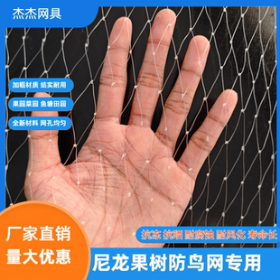 防鸟网果树果园樱桃葡萄梨树草莓鱼塘户外大棚尼龙线养殖网专用