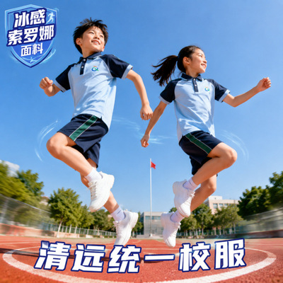 清远市中小学统一夏秋季校服秋衣秋裤长袖POLO衫短袖高中校服套装