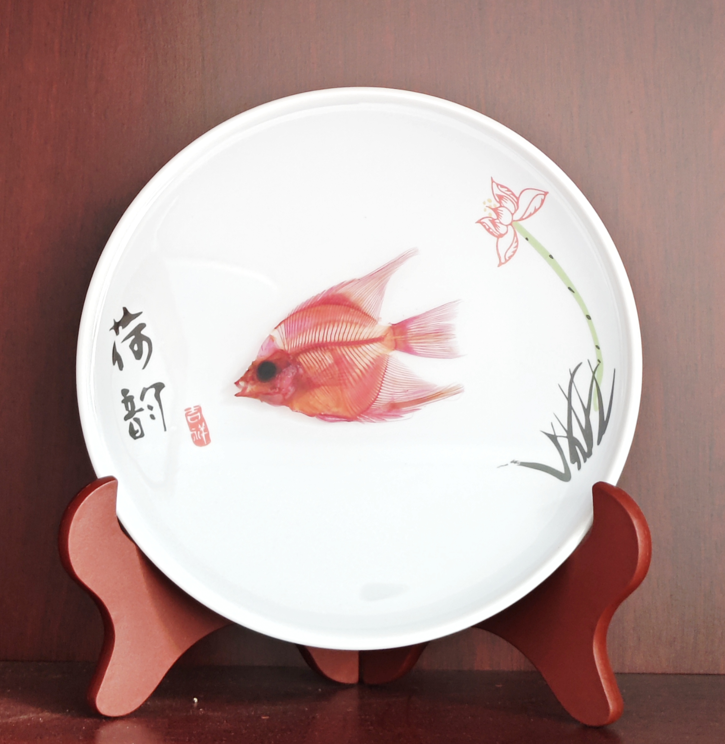 透明燕鱼包埋荷韵盘桌面摆件收藏伴手礼科普陈列生物课居家装饰