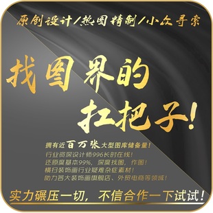 专业代找图片高清图找原图找大图装饰画芯设计文件找壁纸墙画头像