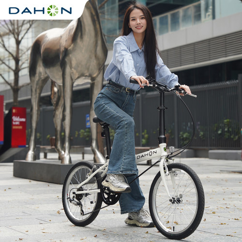 DAHON大行d6经典20寸折叠自行车