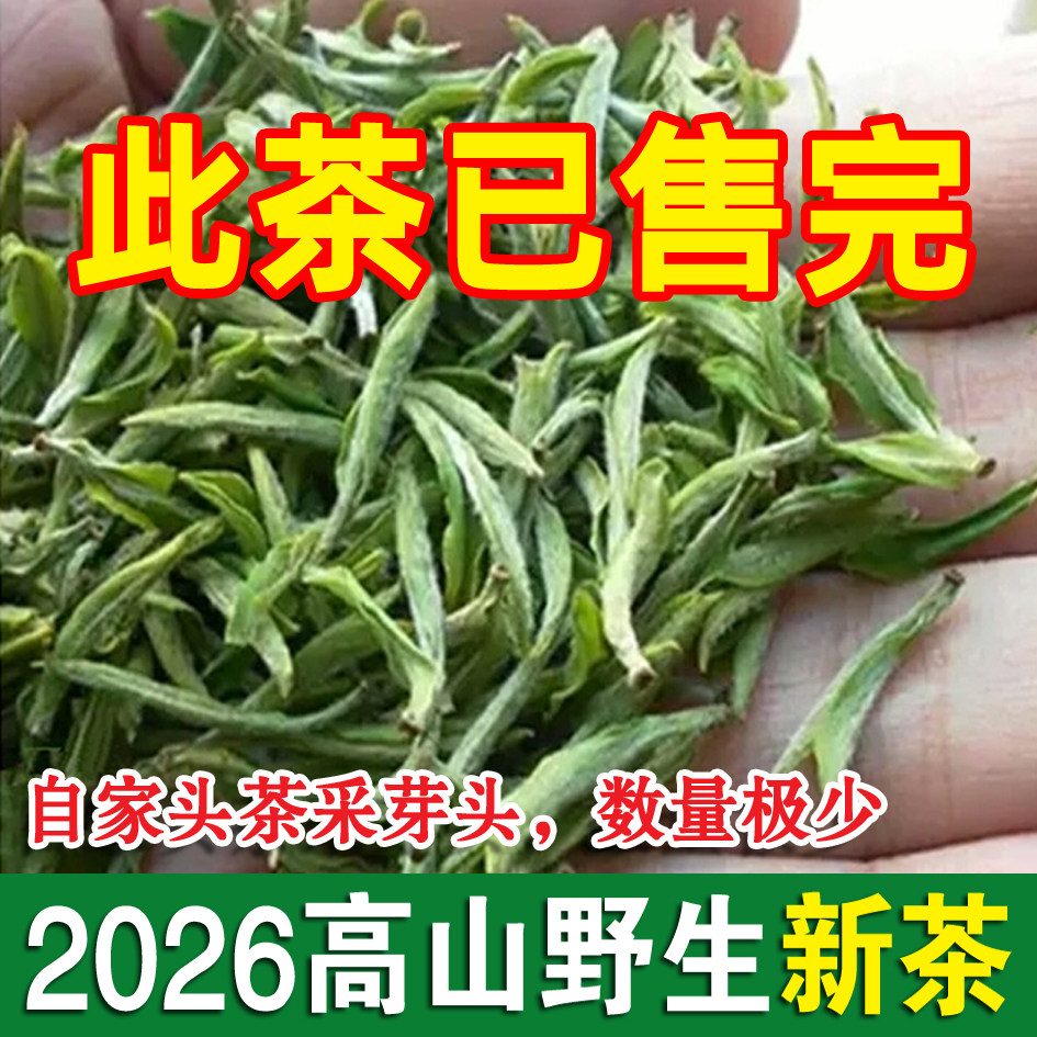 预售2026年头茶明前新茶绿茶野生茶安徽宣城溪口高山茶叶毛尖清香