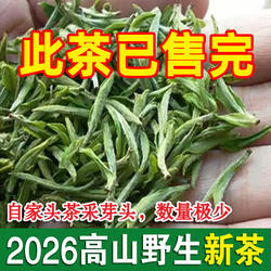 预售2026年头茶明前新茶绿茶野生茶安徽宣城溪口高山茶叶毛尖清香