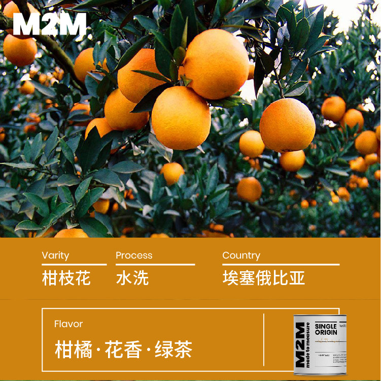 M2m柑栀花埃塞俄比亚水洗耶加雪菲柑橘调手冲埃塞咖啡豆100g 爱秀街导购网