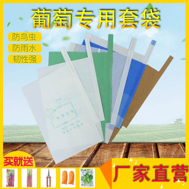 现货葡萄袋子防鸟防虫q袋露天葡萄专用套袋育果袋水晶葡萄套袋