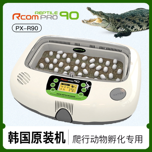 小型龟蛋全自动孵化器蜥蜴孵蛋器韩国RCOM黄缘窄桥金头闭壳孵蛋 - 封面