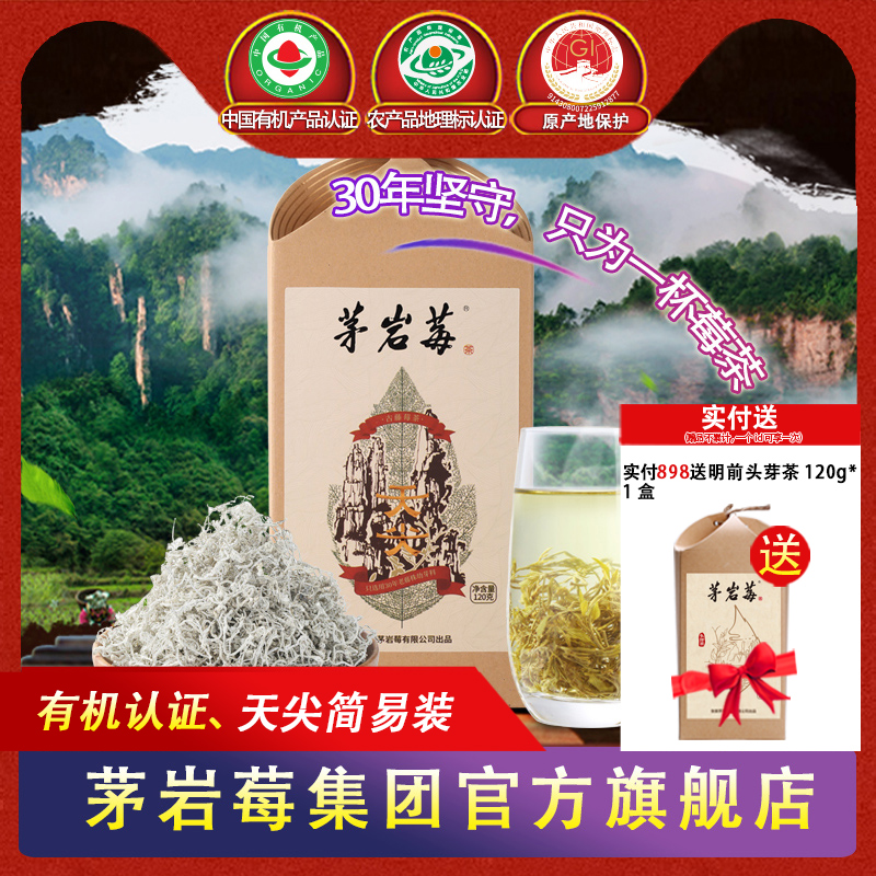 茅岩莓有机莓茶养生茶嫩芽芽尖