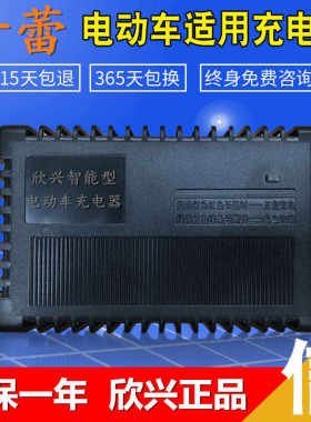 速发奇蕾电动车电瓶车载6V48V12AH60V60V72V80V84V6V24A2A