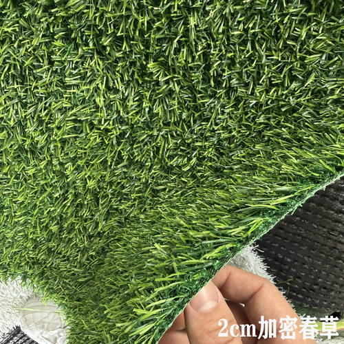 仿真草坪春草花园楼顶露台装饰草隔热降噪户外人造假草皮地毯