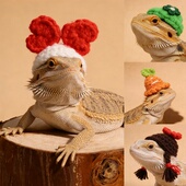 出口守宫鬃狮蜥蜴迷你帽子爬宠蜥蜴头套头饰帽手工编织装 饰帽搞怪