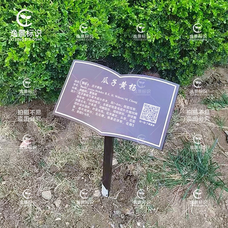 速发插地款树牌植物绿化信息牌树木介绍标识牌果树花草树木植物介