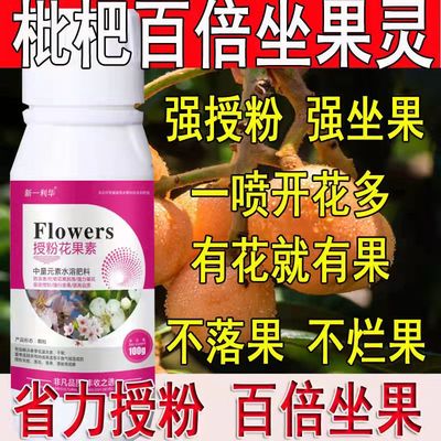 速发枇杷素用授精药授粉座果粉授粉花果专防落素保花保果素沾花素
