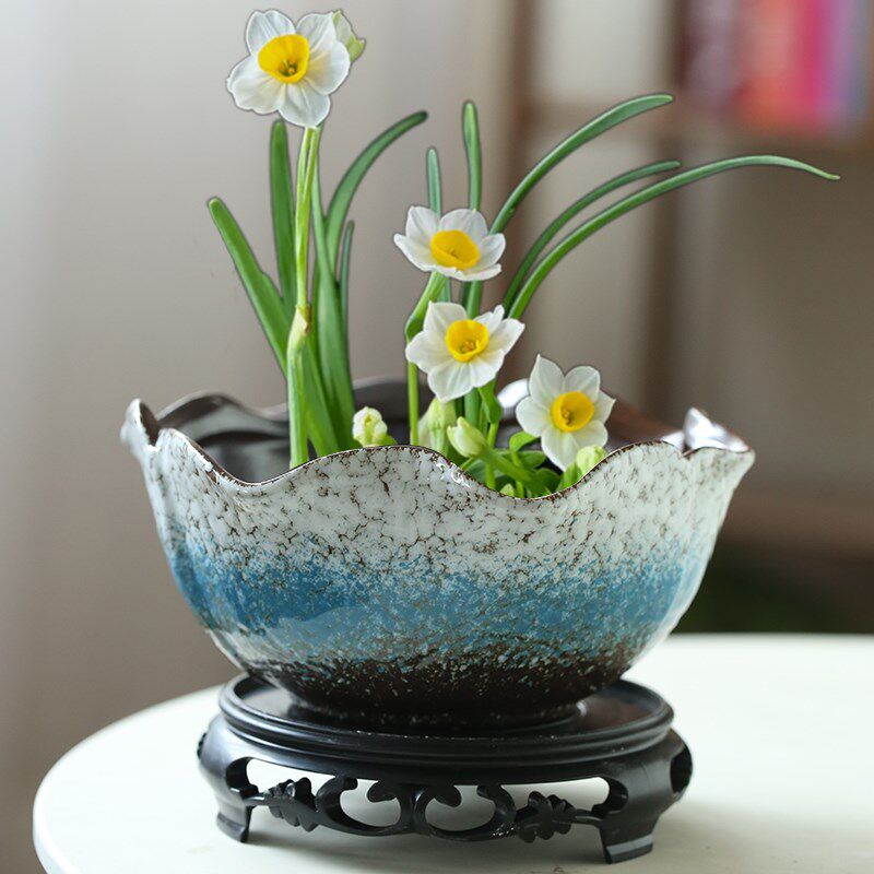 速发水培花盆陶瓷金钱草一叶莲碗莲睡莲铜钱草水莲花水养木水仙盆